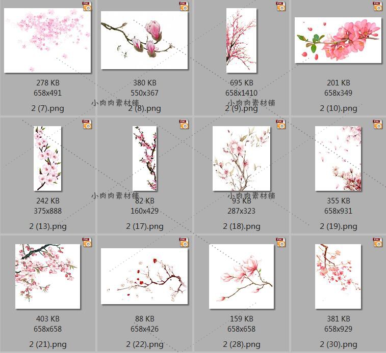 唯美浪漫粉色桃花工笔风景手绘水彩古风png免抠设计素材png302