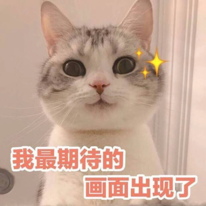 萌宠 猫咪 表情包