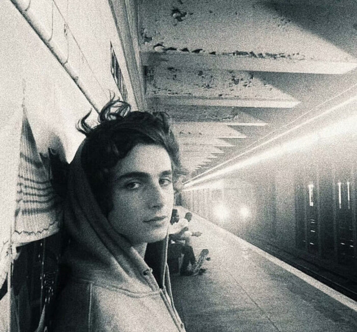 甜茶 提莫西·查拉梅 timothée chalamet