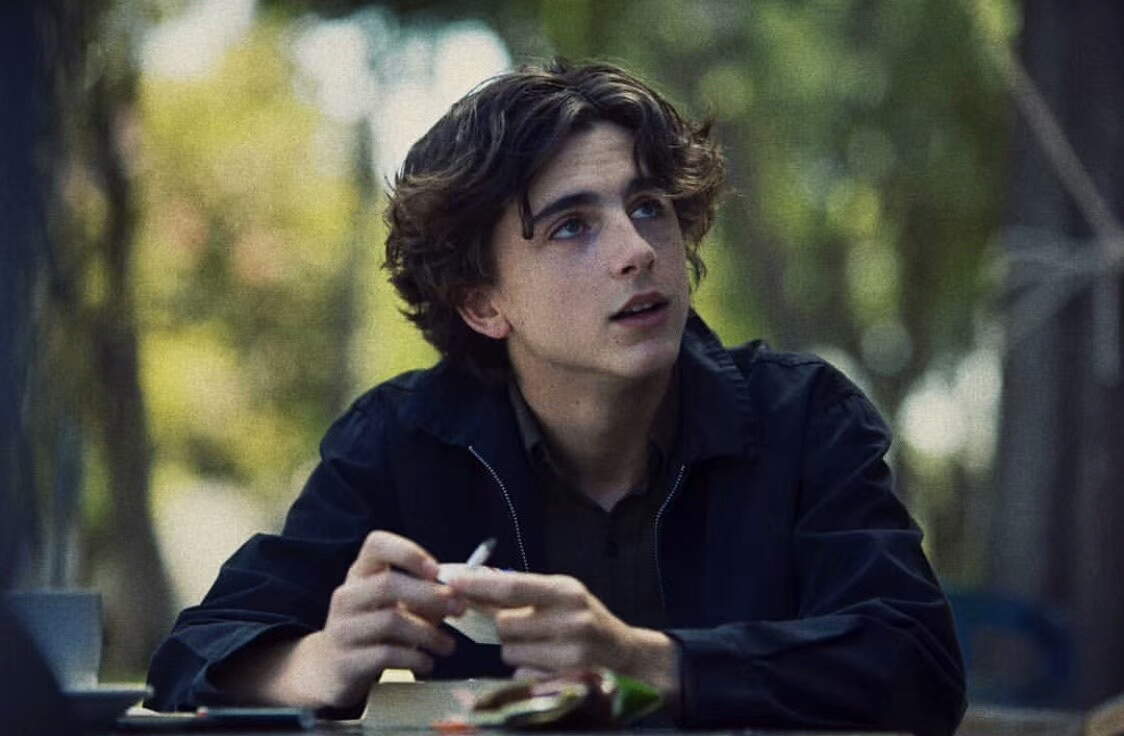 甜茶 提莫西·查拉梅 timothée chalamet