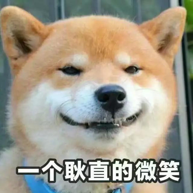 柴犬 微笑 可爱 卖萌 表情包