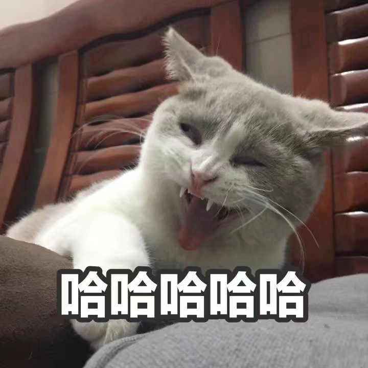 猫咪可爱表情包