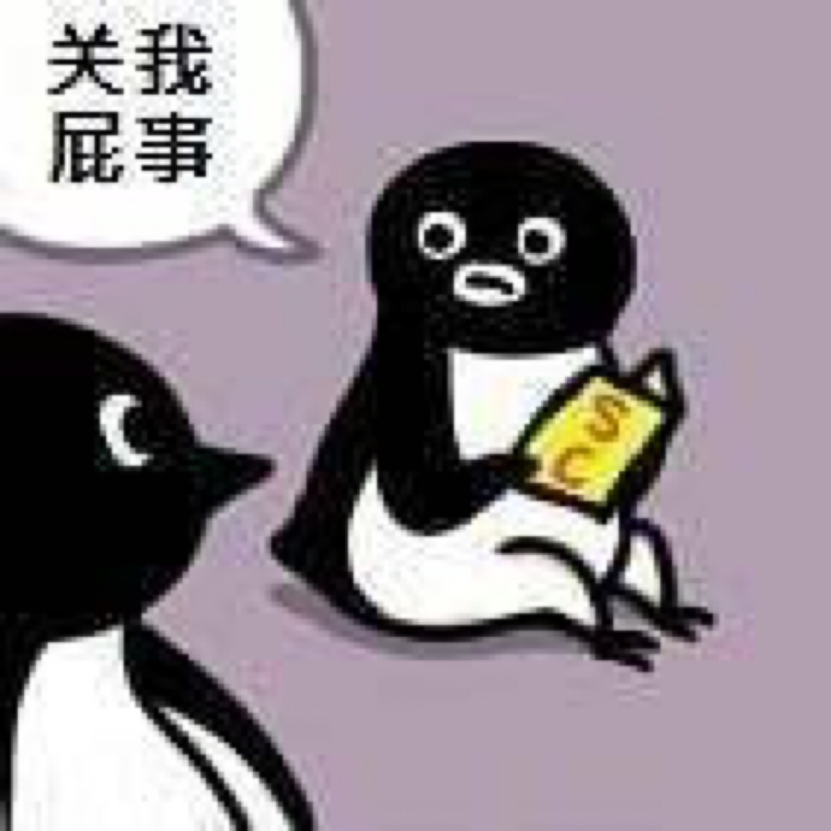 沙雕企鹅 企鹅表情包
