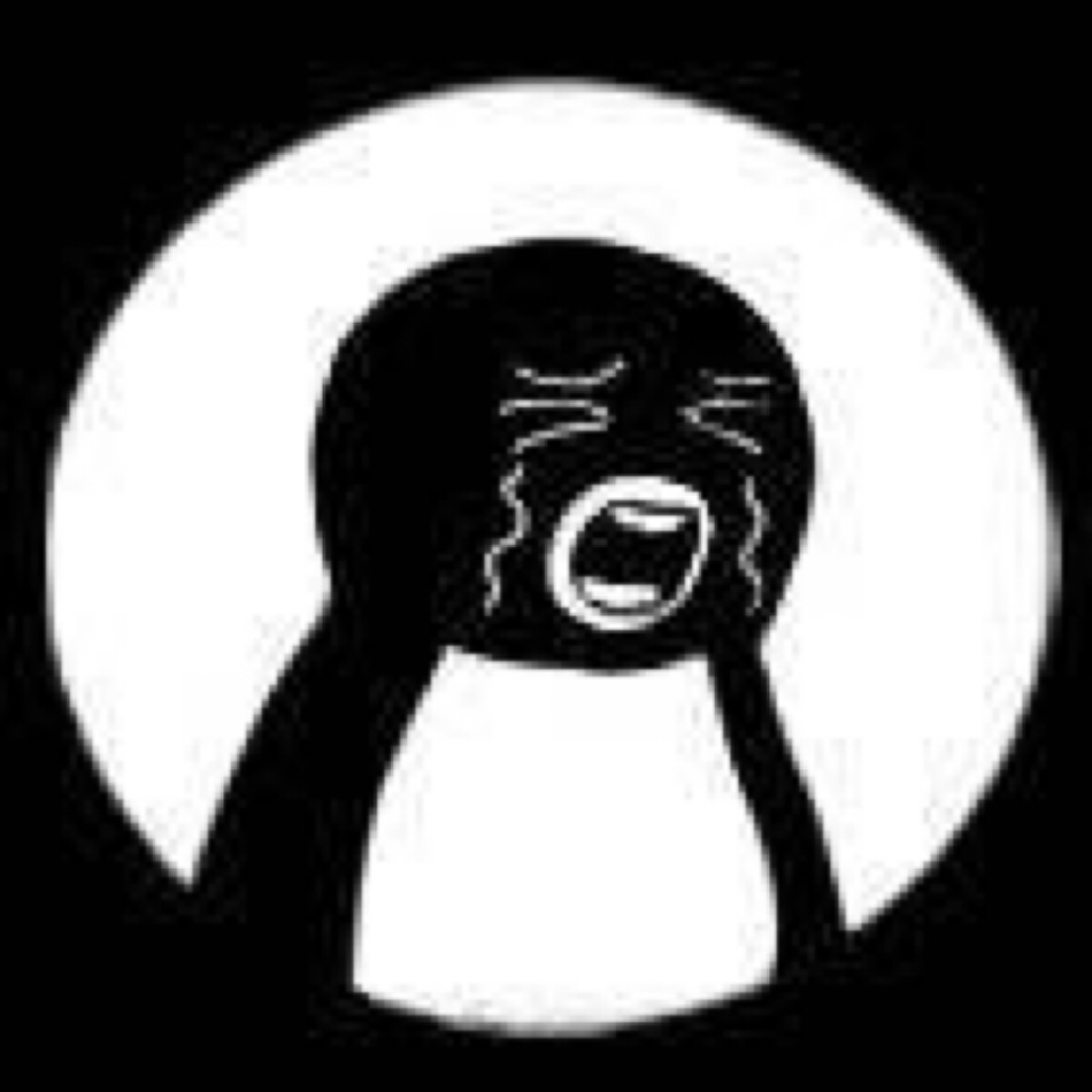 沙雕企鹅 企鹅表情包