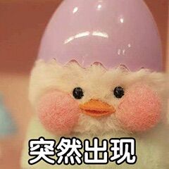 玻尿酸鸭表情包