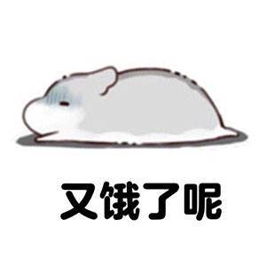 又饿了呢