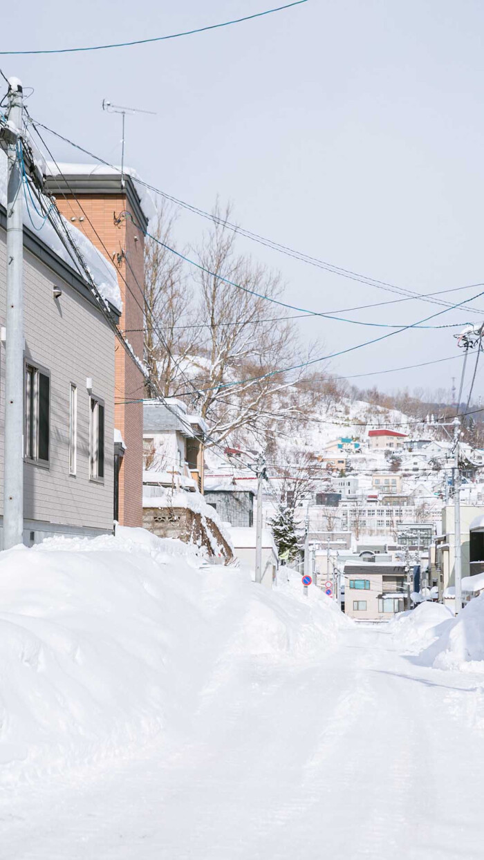 は蛋|日本雪景