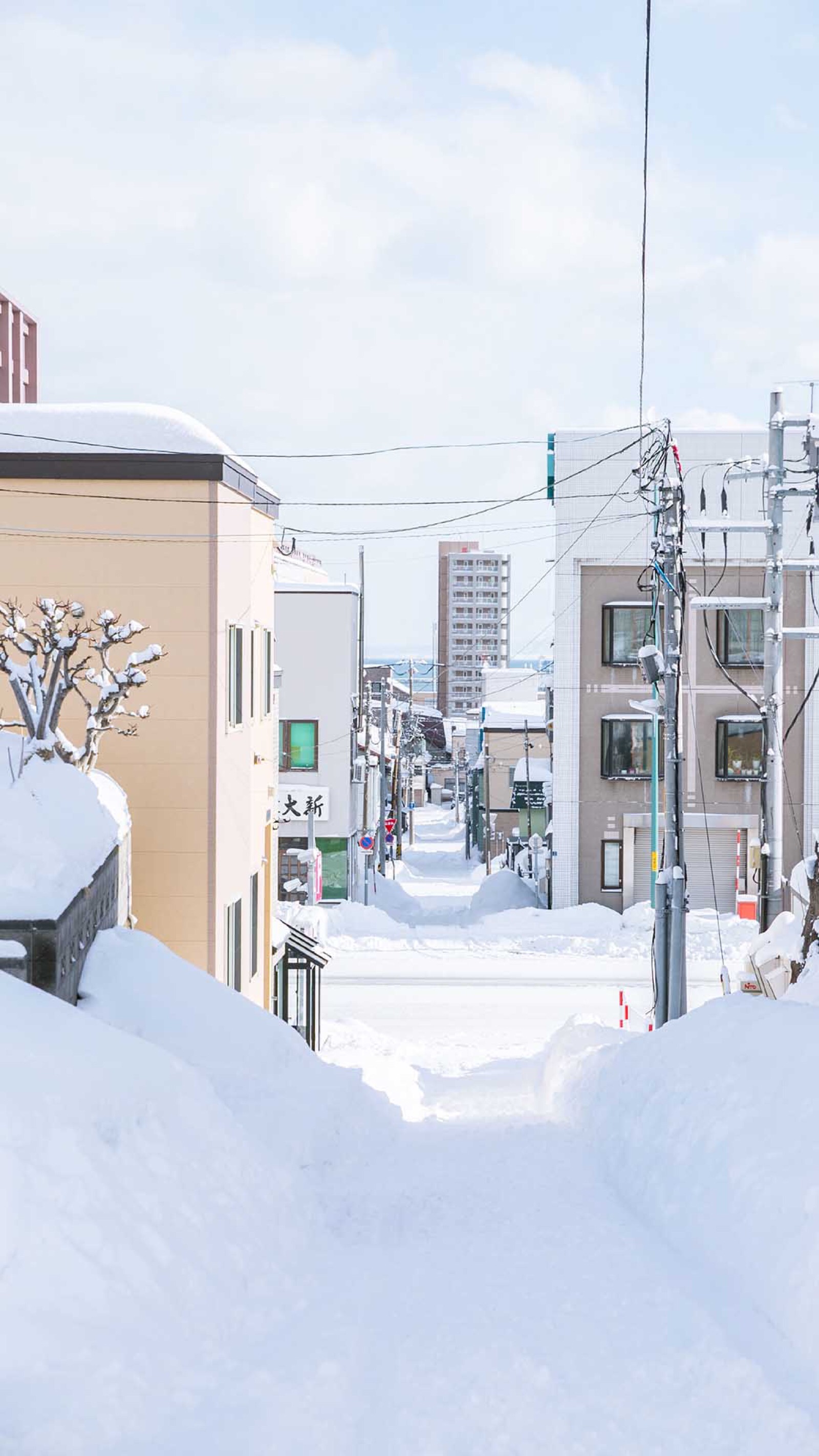 は蛋|日本雪景