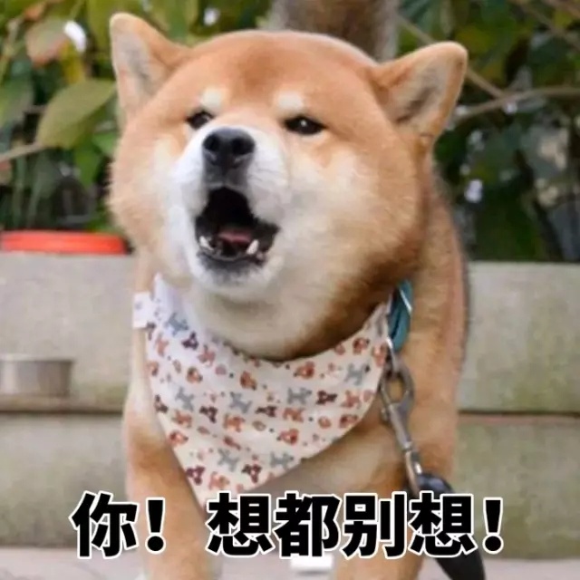 柴犬狗表情包