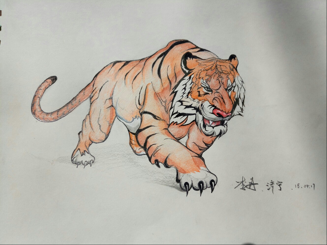 老虎,彩铅,济宁李丹老师