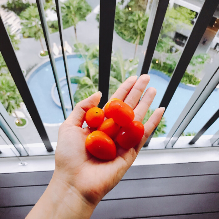 cherry tomatoes