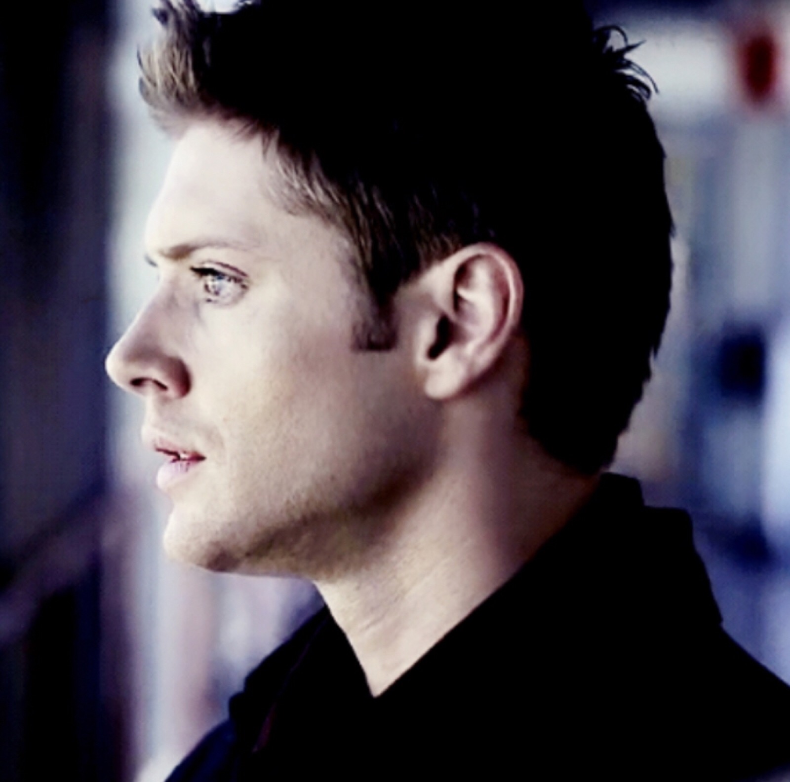 jensen ackles dean winchester 头像 转自名人朋友圈