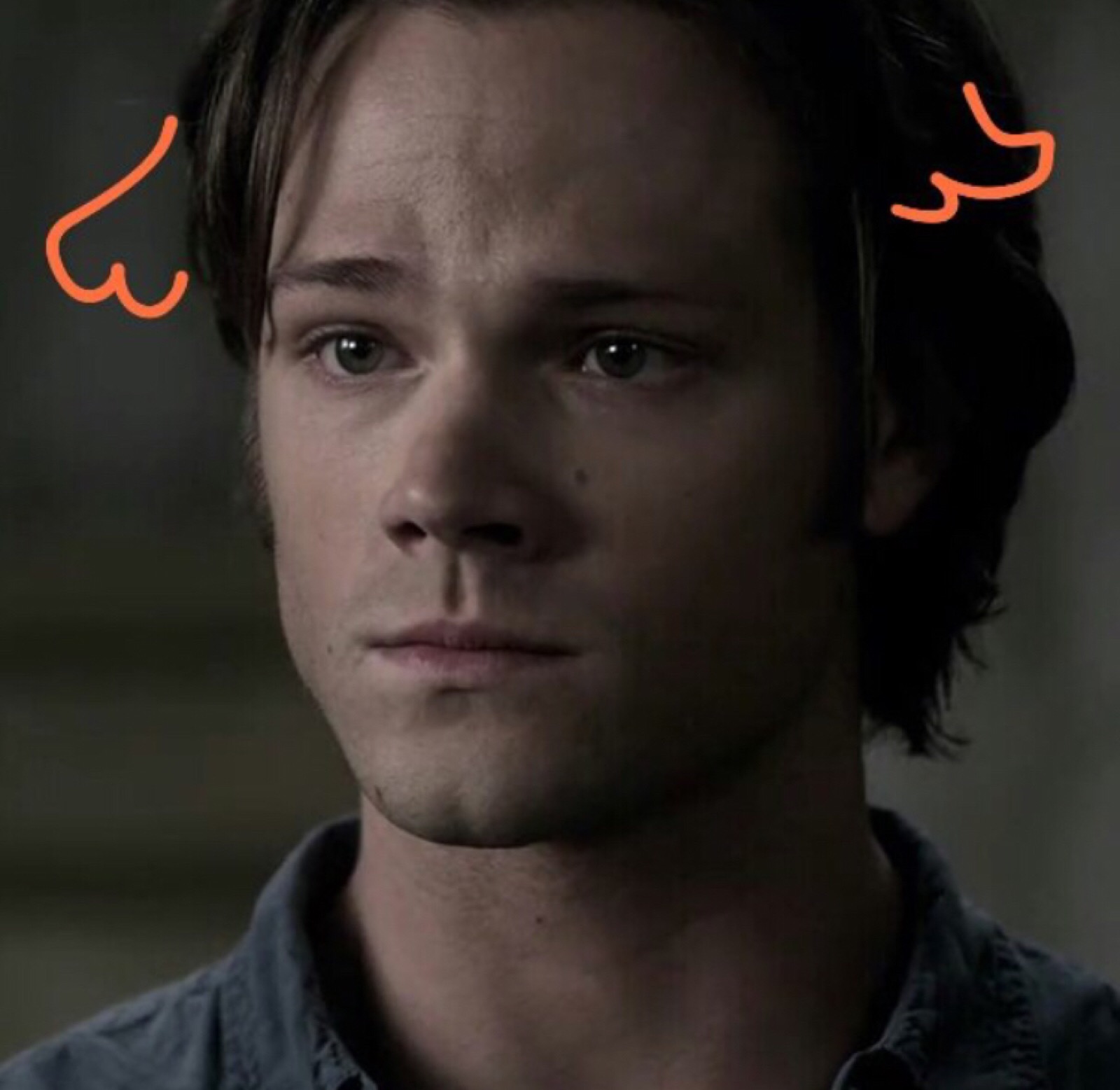 jared padalecki sam winchester spn 邪恶力量 头像 转自名人朋友圈