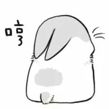 表情包 兔子