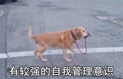有较强的自我管理意识