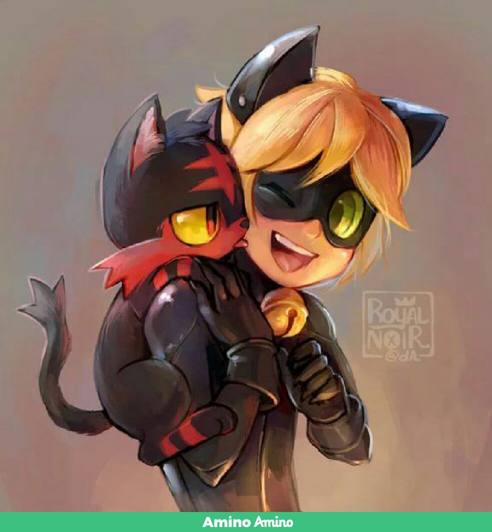 miraculous ladybug cat noir