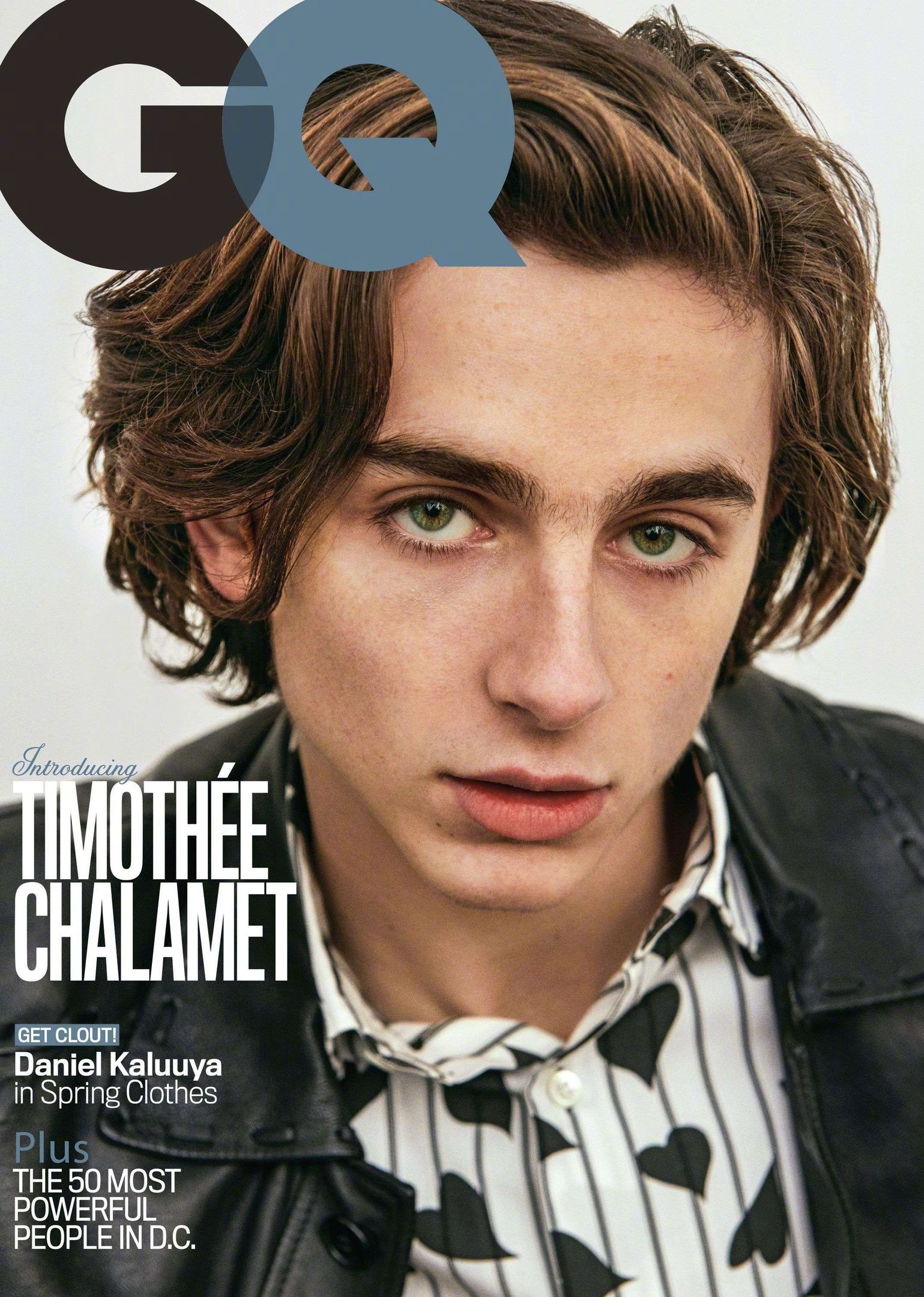 甜茶timothée chalamet