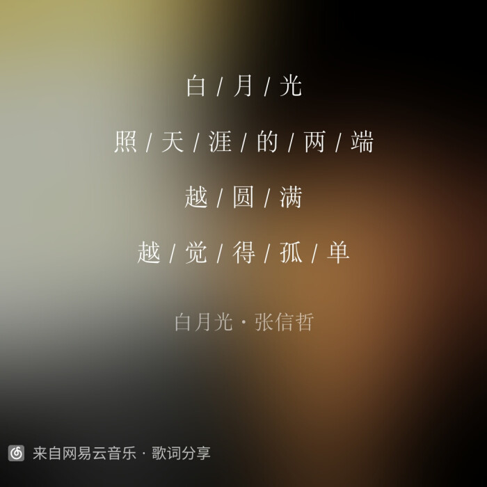 白月光-张信哲