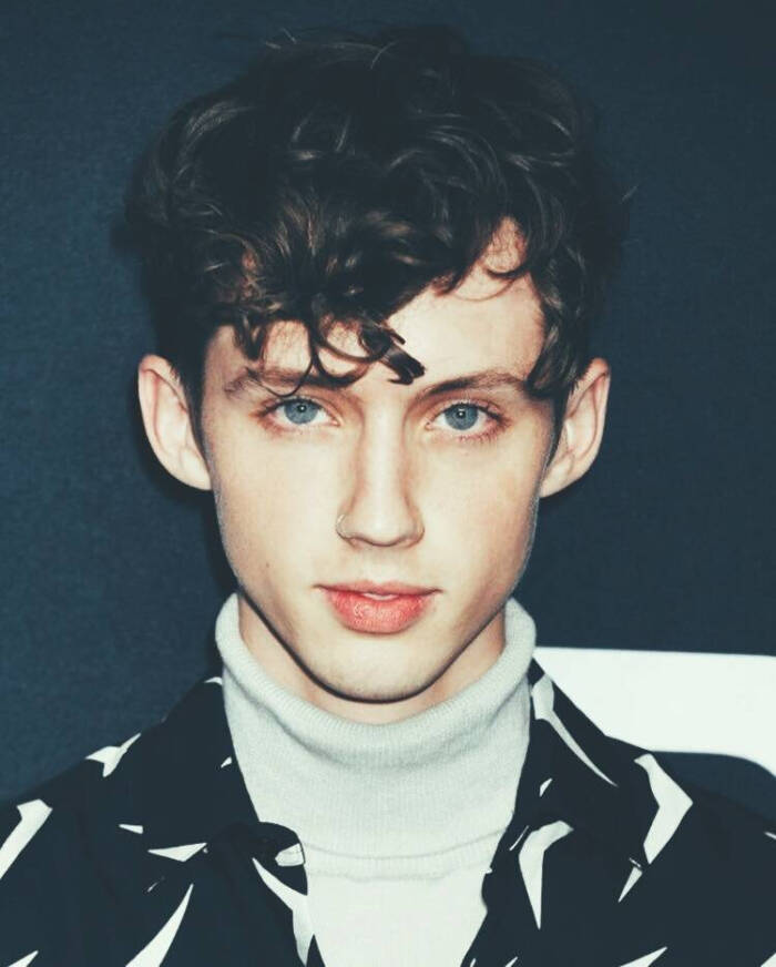 特洛耶·希文troye sivan(戳爷)