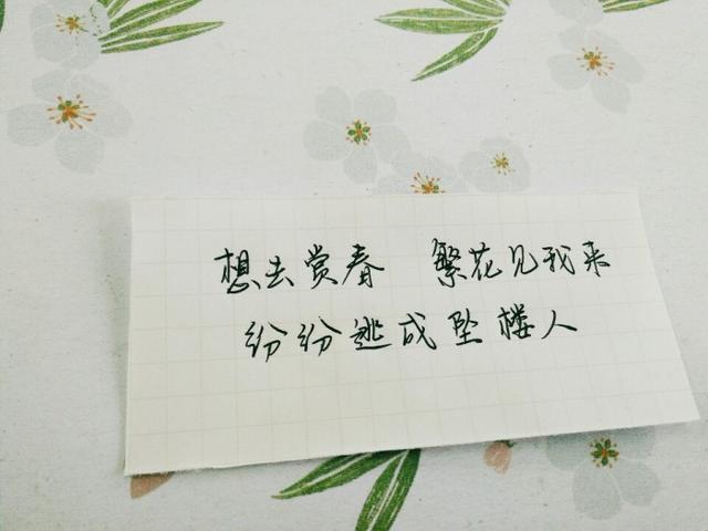 手写 感情句子 禁二改 侵删