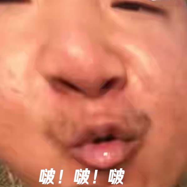 系列 土味表情包