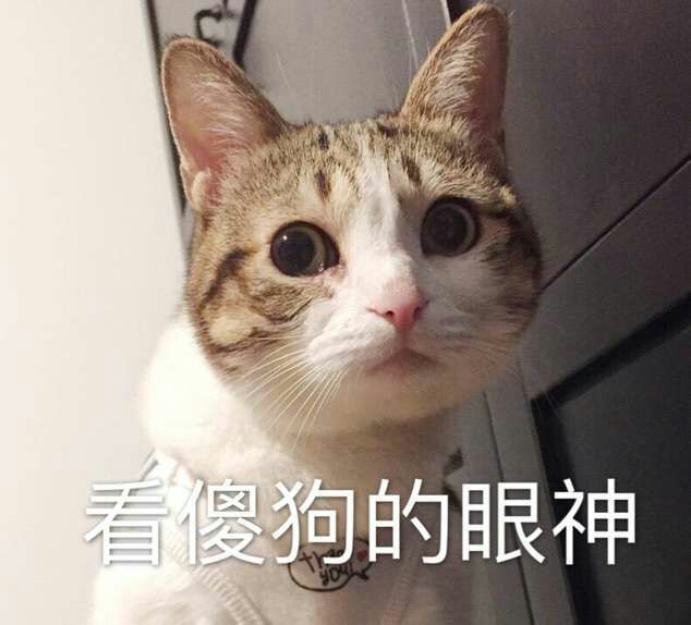 各路来源不明猫狗搞怪情头 侵删