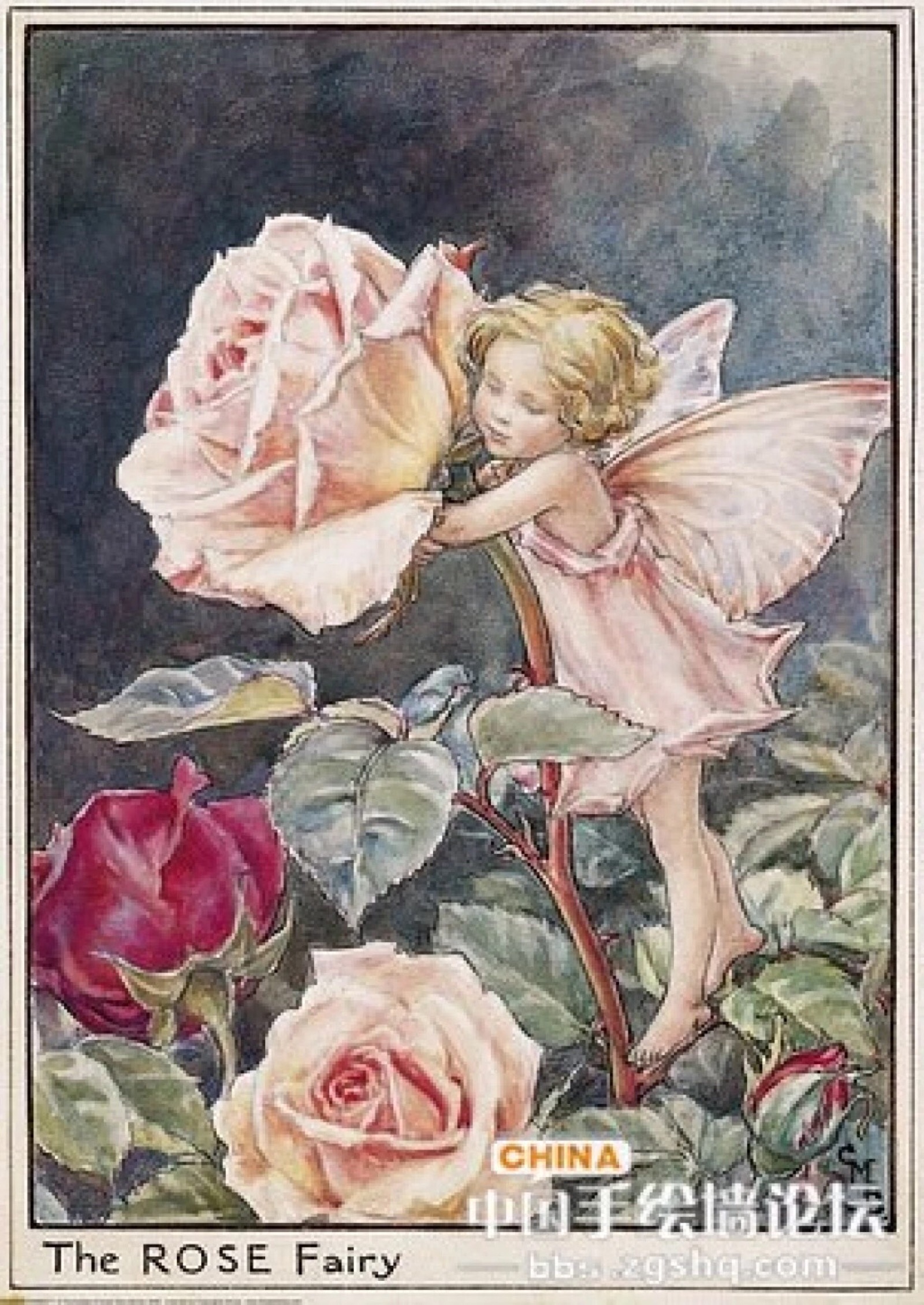 花仙子 