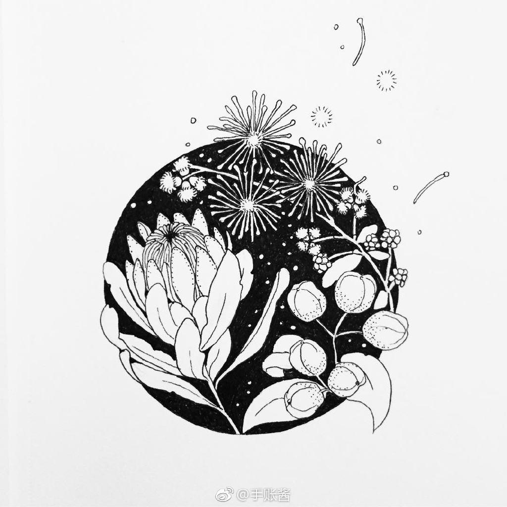 黑白插画