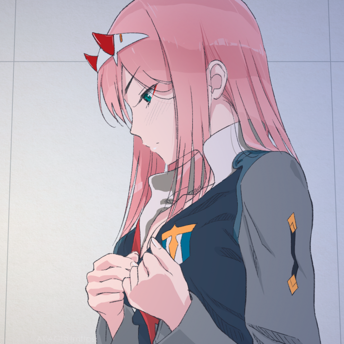 darling in the franxx 国家队