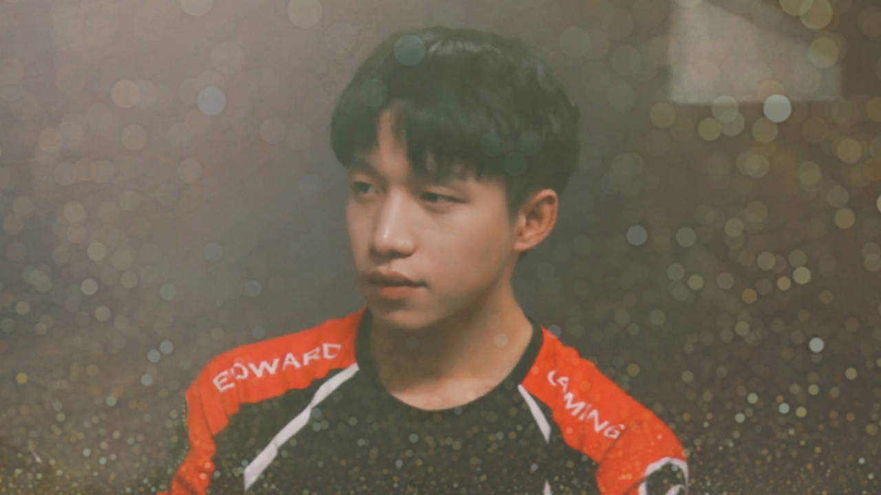 edg 厂长 celelove 诺言 猪仔