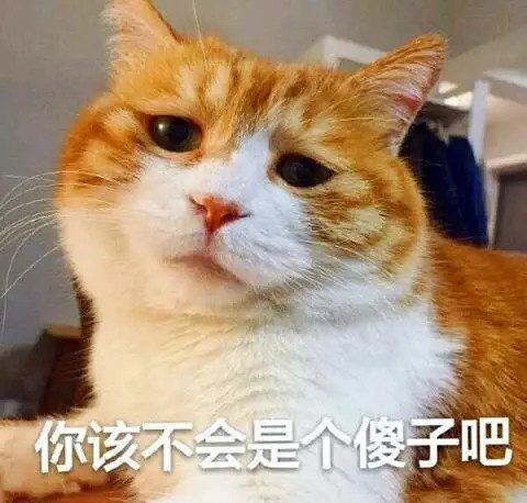 小动物表情包
