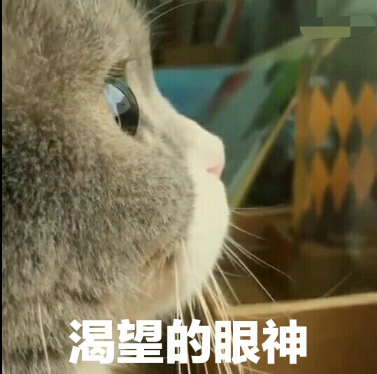 小动物表情包