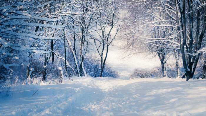 美桌网>壁纸>风景壁纸>冬季雪天道路.