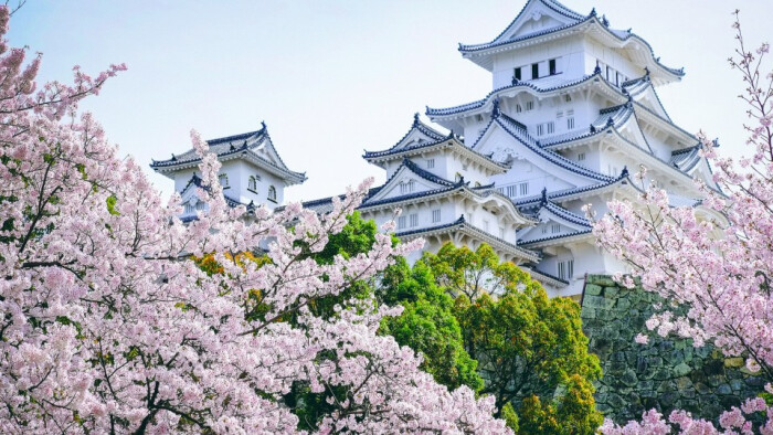 日本樱花风景图片高清电脑桌面壁纸