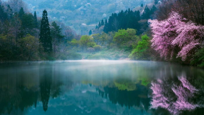 日本樱花风景图片高清电脑桌面壁纸-堆糖,美好生活
