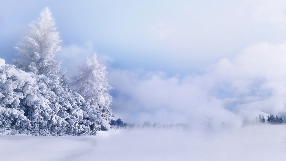 唯美冬季雪景图片高清宽屏桌面壁纸.