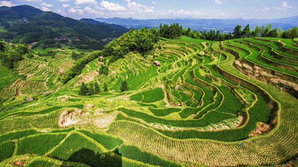 梯田是在丘陵山坡地上沿等高线方向修筑的条状阶台式或波浪式断面的田