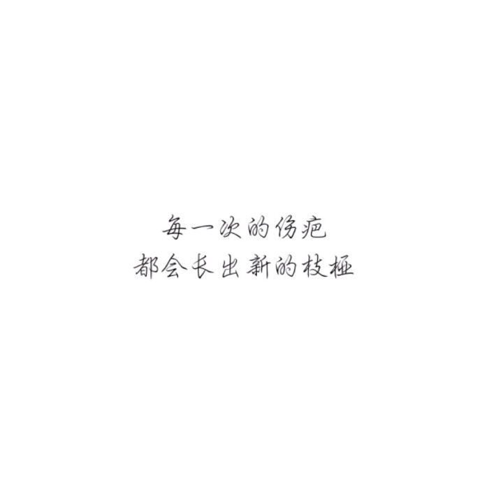 白纸黑字 简介 文字 手写