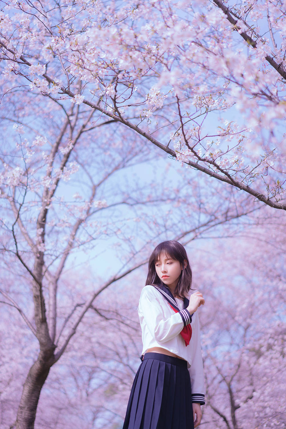 少女## 写真# #约拍# ——樱花树下——我的鹿出镜:@dorothy奈良鹿