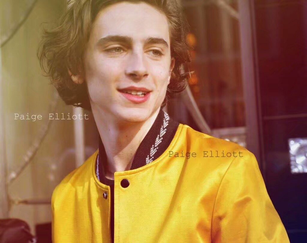 甜茶 提莫西·查拉梅(timothée chalamet)