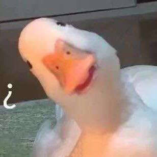 傻吊头像