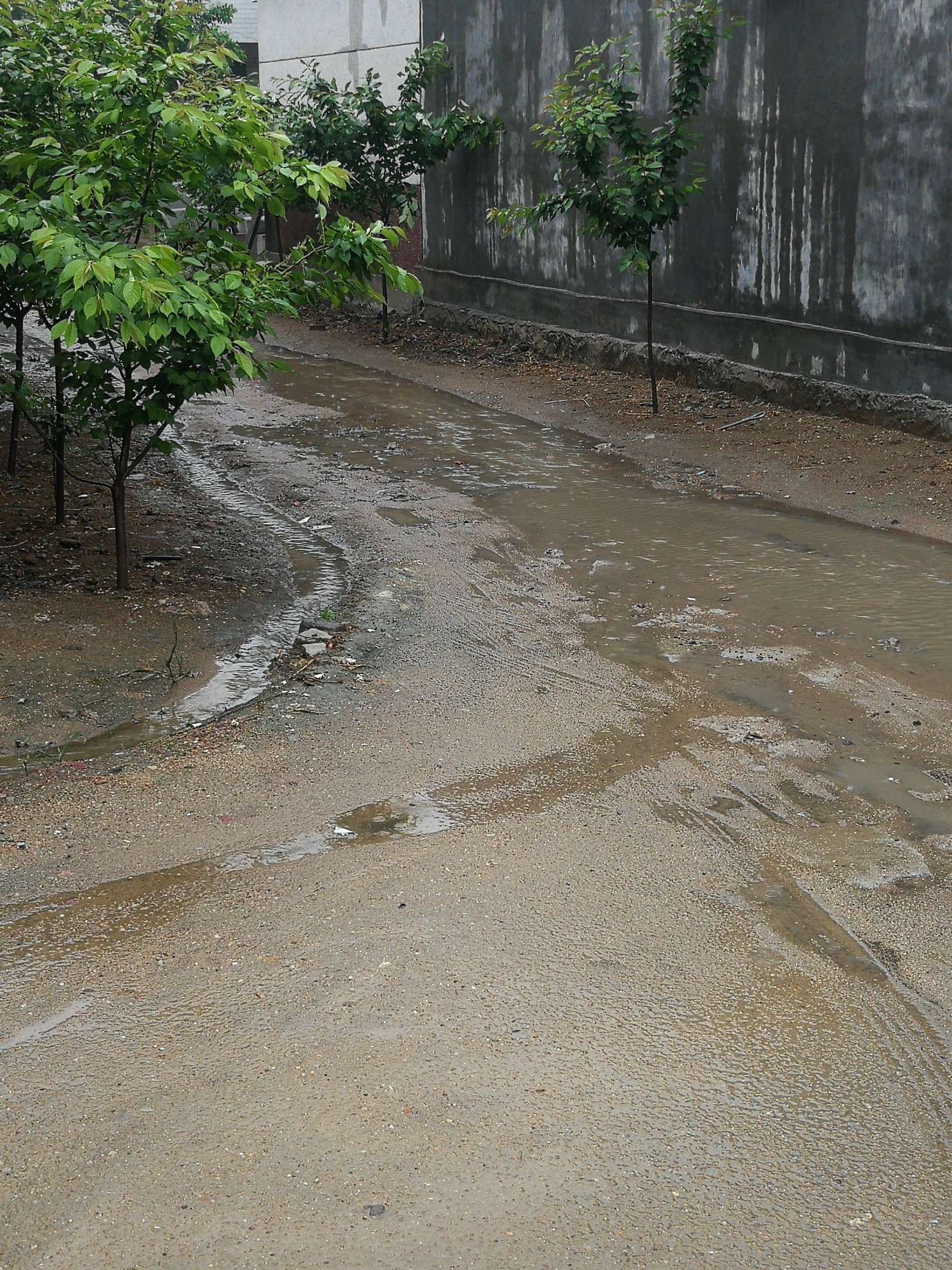 下雨