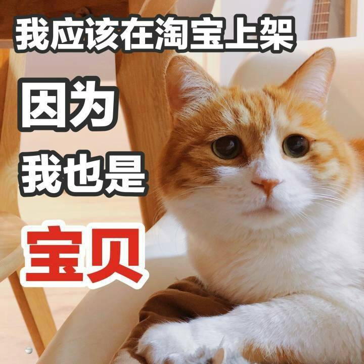 表情包【我应该在淘宝上架,因为,我也是,宝贝】