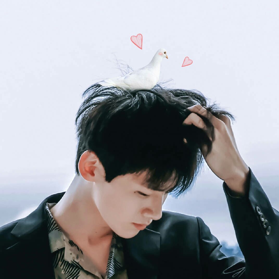 小白白敬亭
