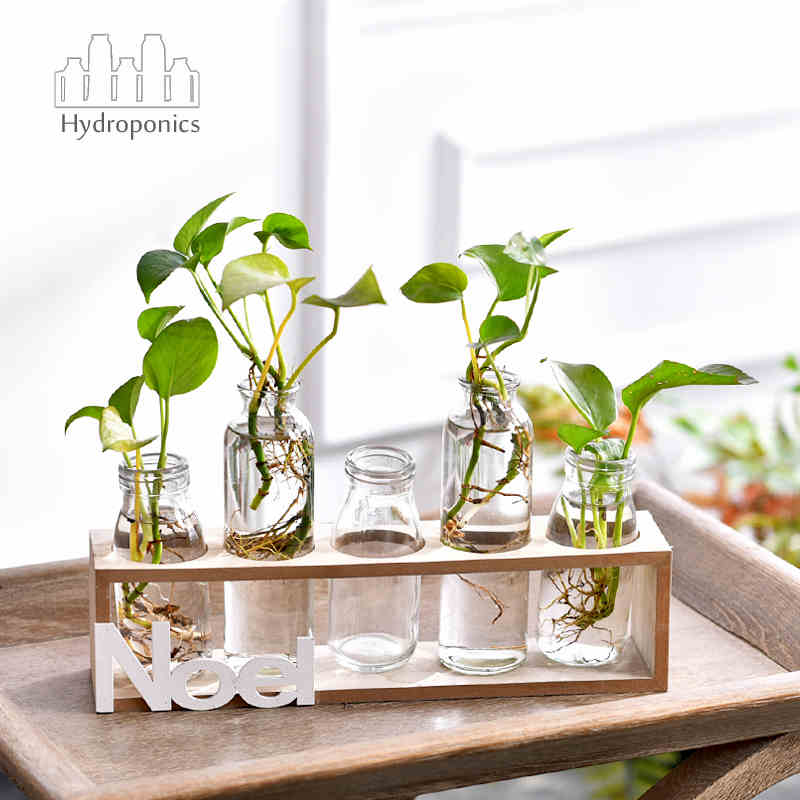 创意简约水培透明玻璃花瓶绿萝植物容器小清新办公室桌面装饰摆件