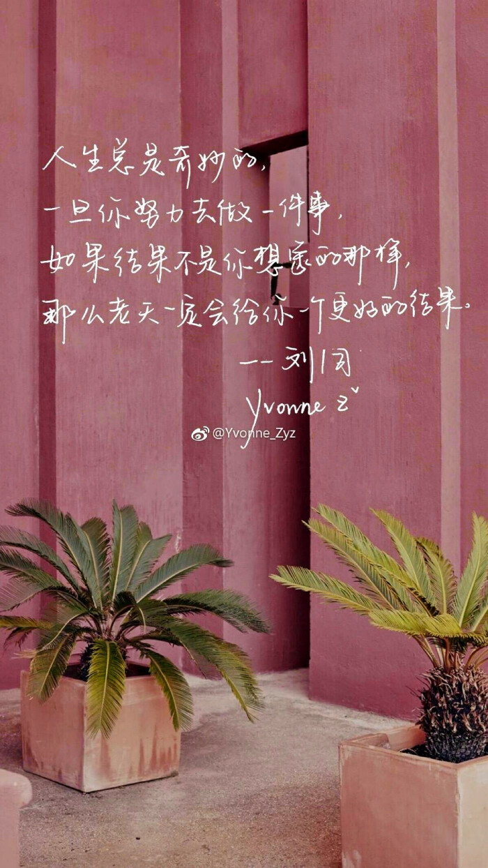 文字 壁纸 人生 情感 句子 鸡汤 励志