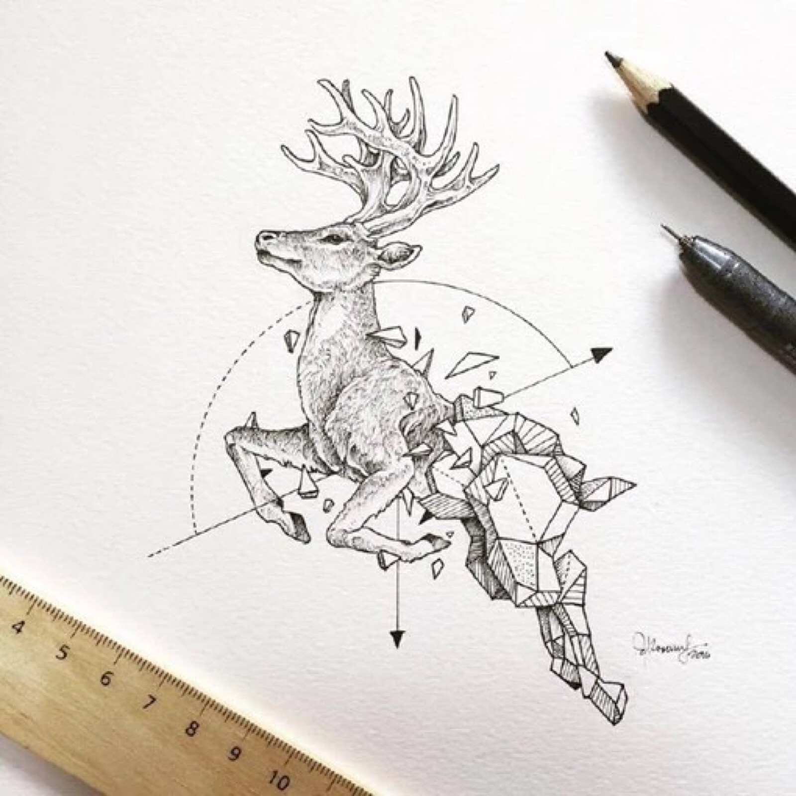 手绘线描蜕变