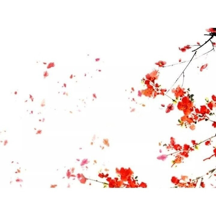 名片背景,白色,红色,简单,樱花,烂漫