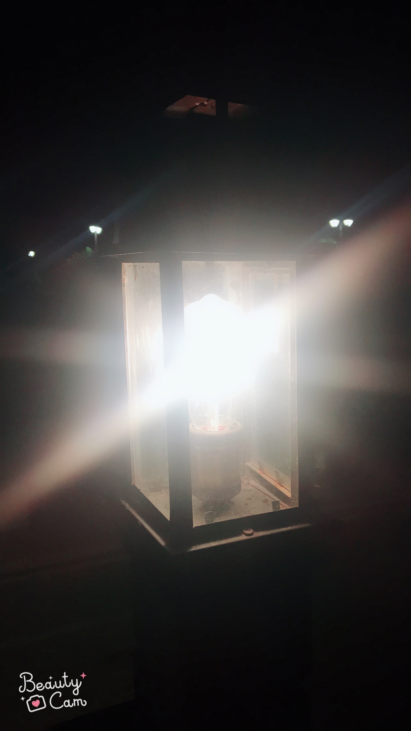夜行灯 
