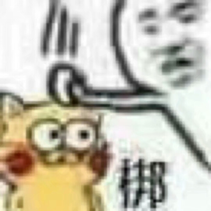 鹦鹉表情包ww